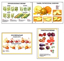 Плакаты ПРОФТЕХ "Ассортимент овощных культур" (12 пл, винил, 70х100) - fgospostavki.ru - Уфа