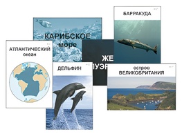 Модель-аппликация "Океаны. Знакомство" (ламинированная) - fgospostavki.ru - Уфа