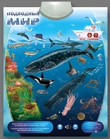 Озвученный плакат "Подводный мир" - fgospostavki.ru - Уфа