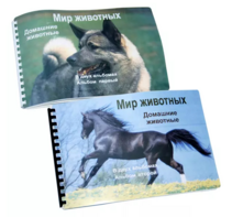 Пособие для слабовидящих - Домашние животные - fgospostavki.ru - Уфа