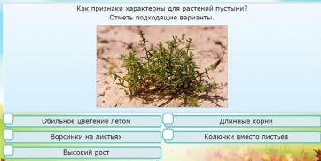Интерактивные курсы. Окружающий мир 3 класс . Базовый. - fgospostavki.ru - Уфа