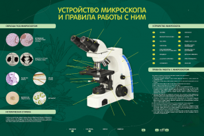 Электрифицированный стенд "Устройство микроскопа и правила работы c ним" - fgospostavki.ru - Уфа