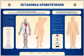Электрифицированный стенд-тренажер "Остановка кровотечения" - fgospostavki.ru - Уфа