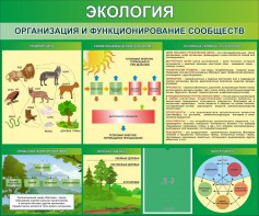 Стенд "Экология. Организация и функционирование сообществ" - fgospostavki.ru - Уфа