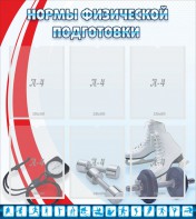Стенд "Нормы физической подготовки" Вариант 2 - fgospostavki.ru - Уфа