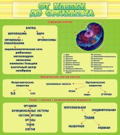 Стенд "От клетки до организма" - fgospostavki.ru - Уфа