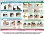 Комплект плакатов "Оказание первой доврачебной медицинской помощи" - fgospostavki.ru - Уфа