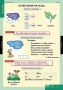 Комплект таблиц. Русский язык. Обучение грамоте 2 класс. - fgospostavki.ru - Уфа