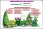 Комплект кодотранспарантов "Культурные растения" - fgospostavki.ru - Уфа