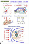Комплект кодотранспарантов "Электродинамика" - fgospostavki.ru - Уфа