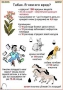 Комплект кодотранспарантов "Ядовитые растения" - fgospostavki.ru - Уфа