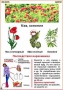 Комплект кодотранспарантов "Ядовитые растения" - fgospostavki.ru - Уфа